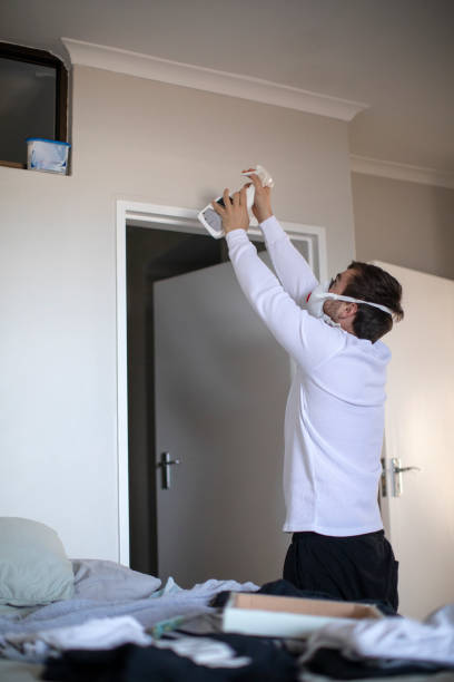 Best Comprehensive Air Testing for Mold Contaminants  in Porter, IN
