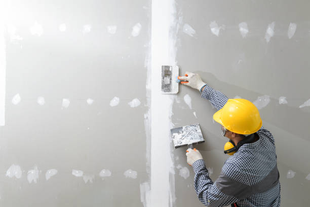 Professional Mold Removal in Porter, IN