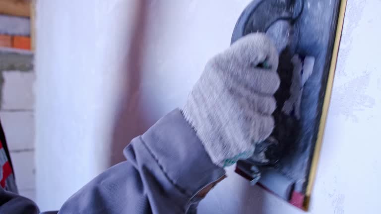 Best Biohazard Mold Removal  in Porter, IN