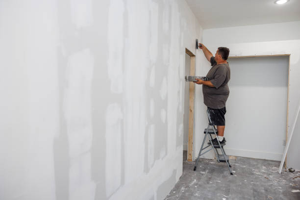 Best Commercial Mold Inspection  in Porter, IN