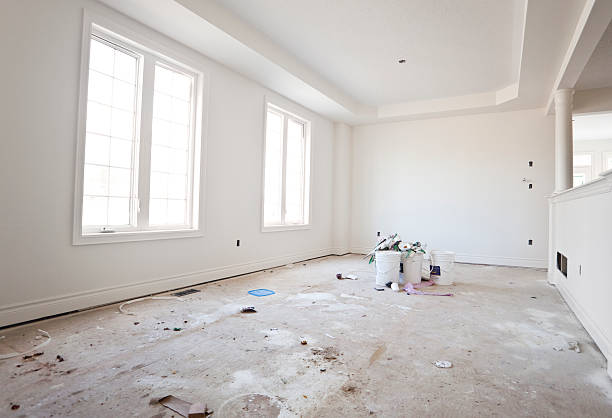 Best Mold Remediation for Healthcare Facilities  in Porter, IN