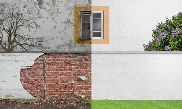 Best Real Estate Mold Inspection  in Porter, IN