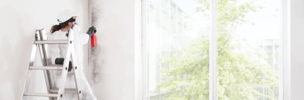 Best Water Damage & Mold Remediation  in Porter, IN