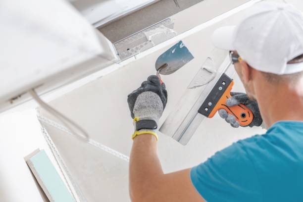 Best Dehumidification Services  in Porter, IN